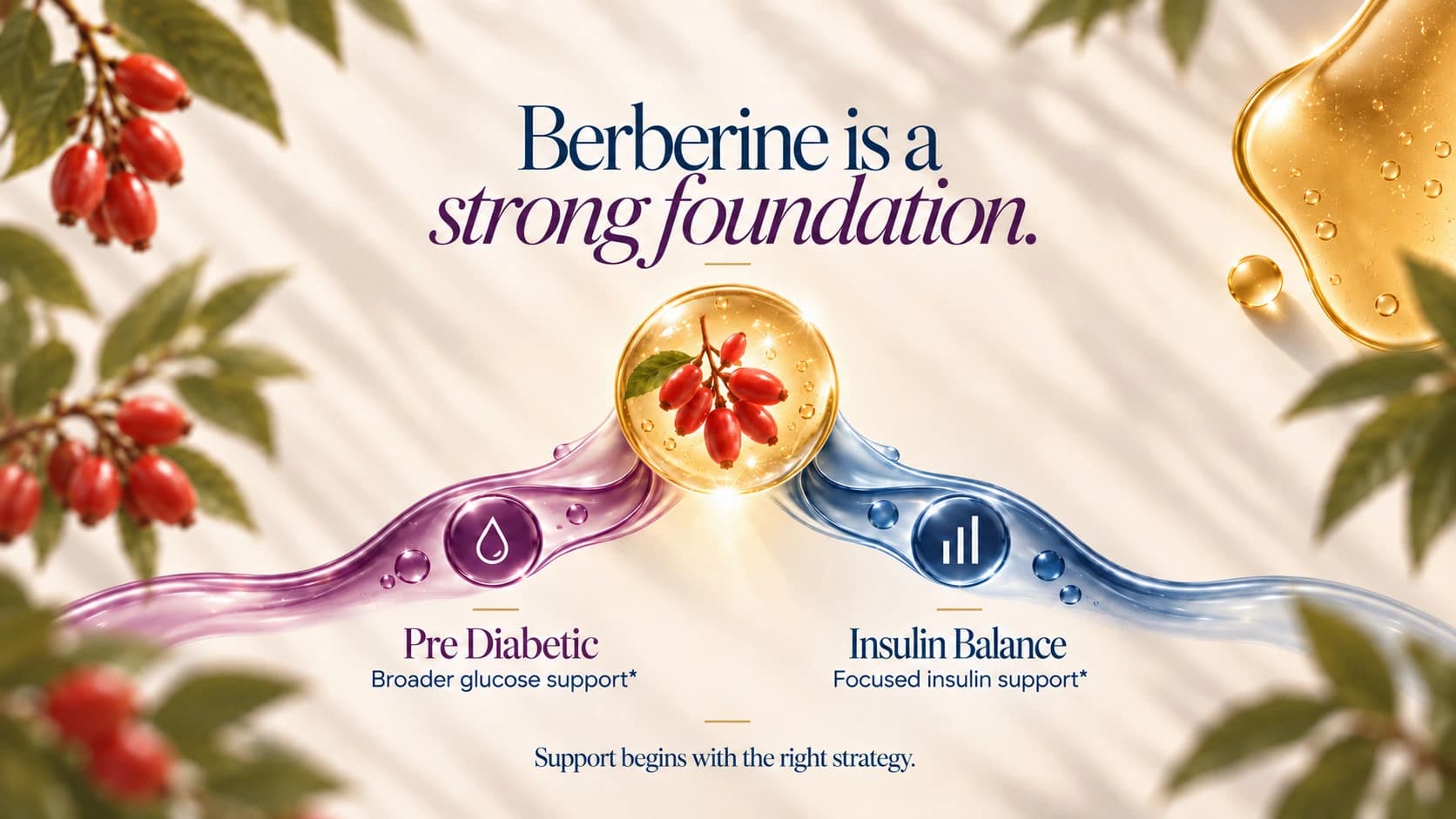 Berberine as the foundation of a multi-pathway metabolic support formula with SINGULAR Pre Diabetic and SINGULAR Insulin Balance SynergyBoost supplements